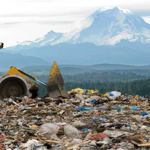 Ted Baker Eyeglasses Sunglasses Tri Fold Case - Picture 7 of 10